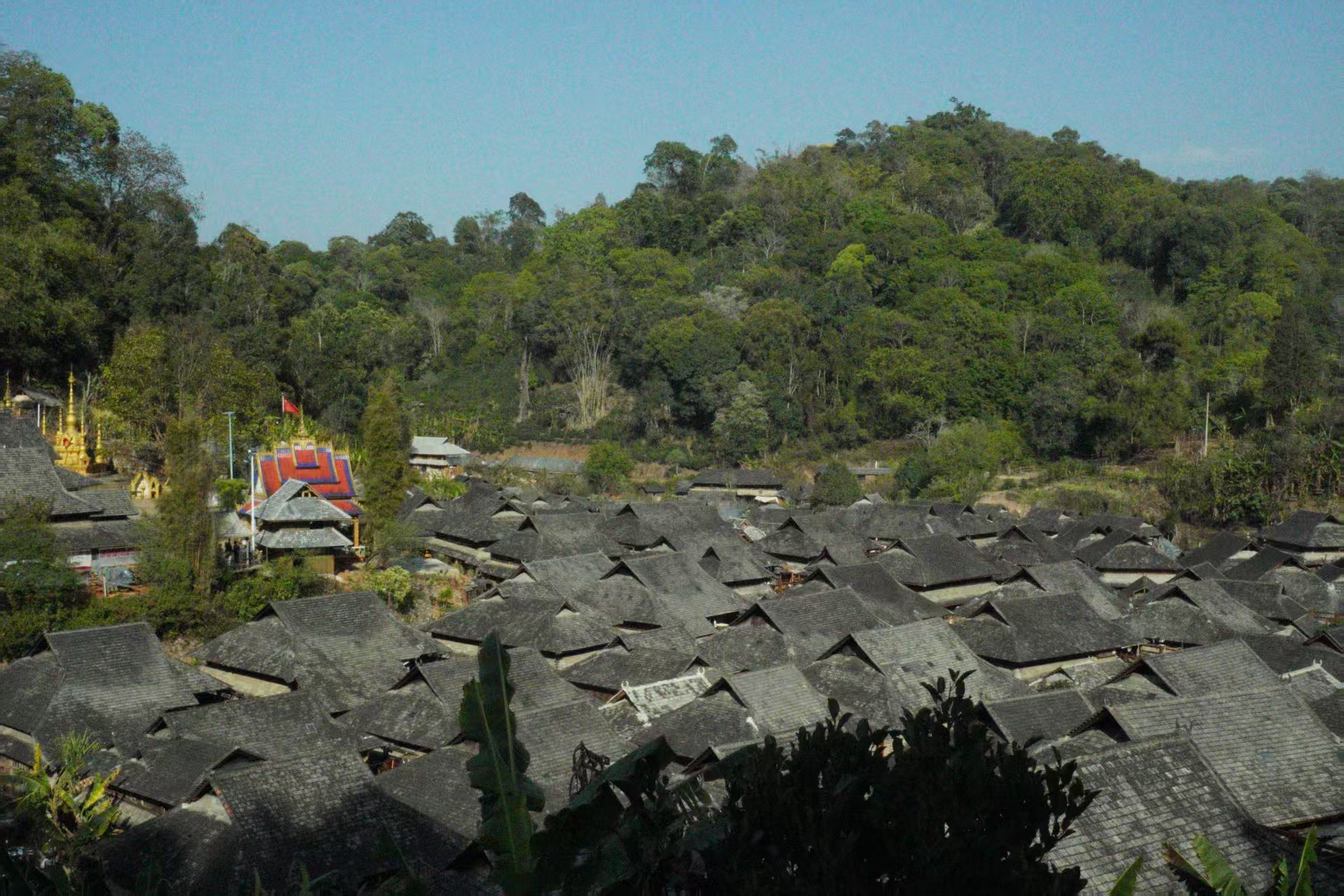 A village among forested hills in Yunnan